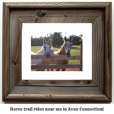 horse trail rides near me in Avon, Connecticut